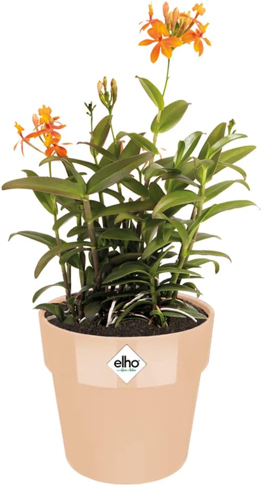 Gardebruk® Blumentopf b.for original 14x13cm Rund Übertopf Blumenkasten Pflanzentopf Pflanzkasten Kunststoff Indoor Pfirsich — Ansicht 3